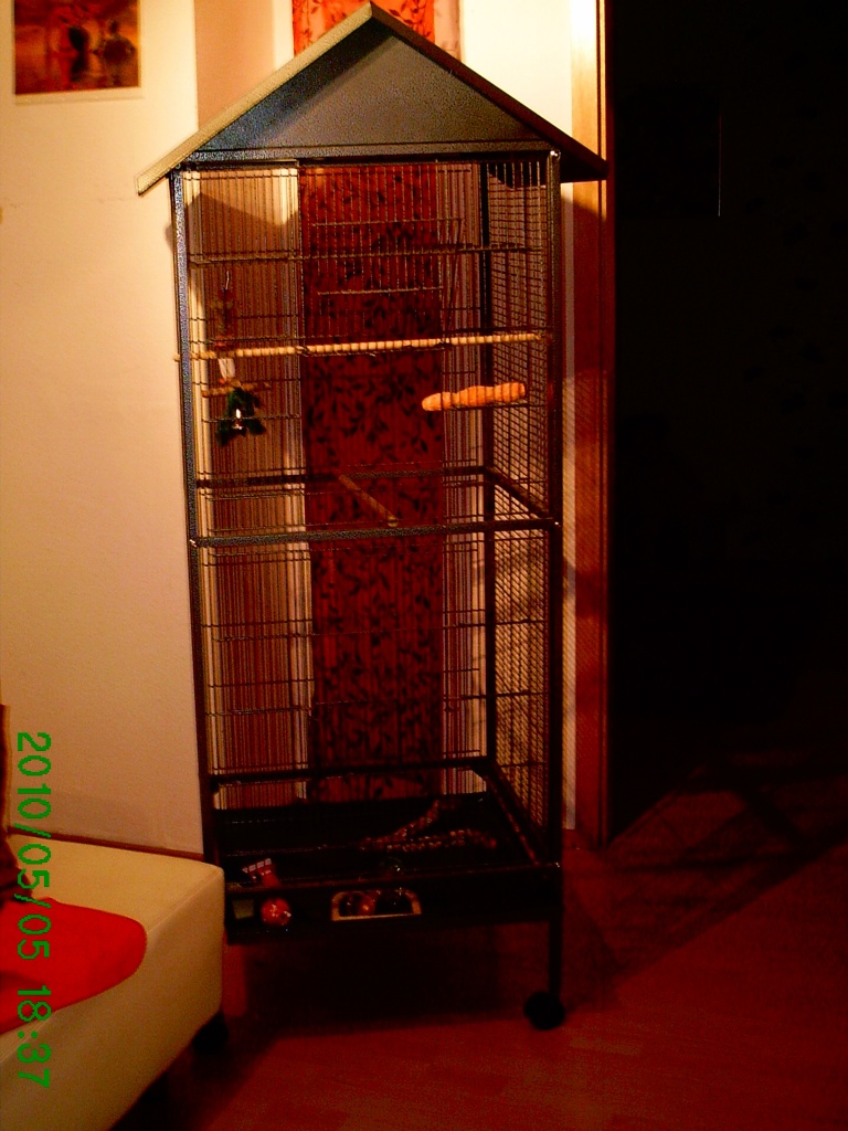 Vogelvoliere mit Dach und zubehör. - Voegel - Gladbeck