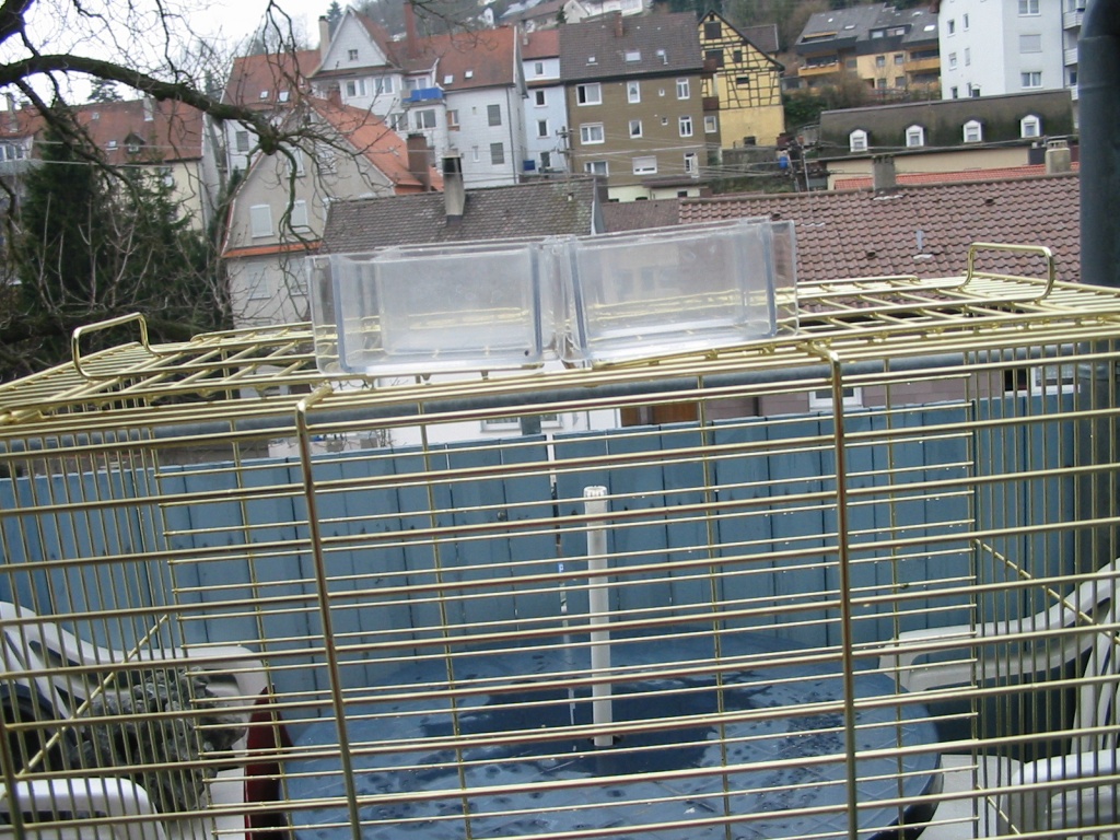 Verkaufe Papageienkäfig - Voegel - Geislingen an der Steige