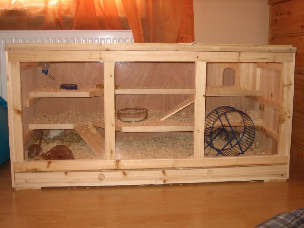 Holzkäfig mit Plexiglasfront - fast neu - Nagetiere - Ilmenau