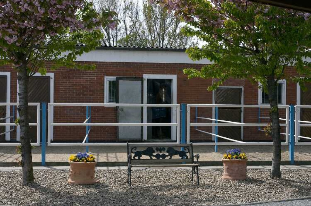 Paddock-/Fenster-/Innenboxen(Vollpension),Offenstallplätze(VP/Selbstversorgung) - Pferde - Eltze (Uetze)