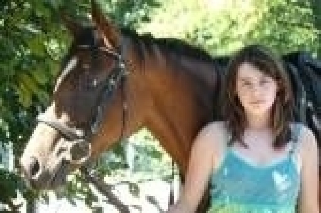 Suche reitbeteiligung - Pferde - Baden Baden