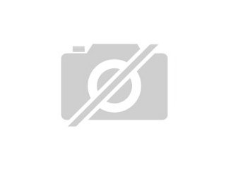 Offenstallplatz für Wallach - Pferde - Neuenbürg