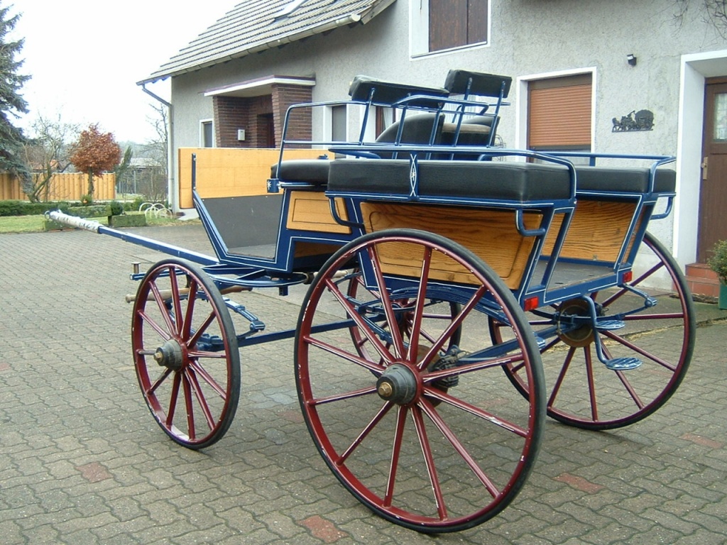 Wagonette, Kutsche, Kaltblutkutsche. - Pferde - Hille