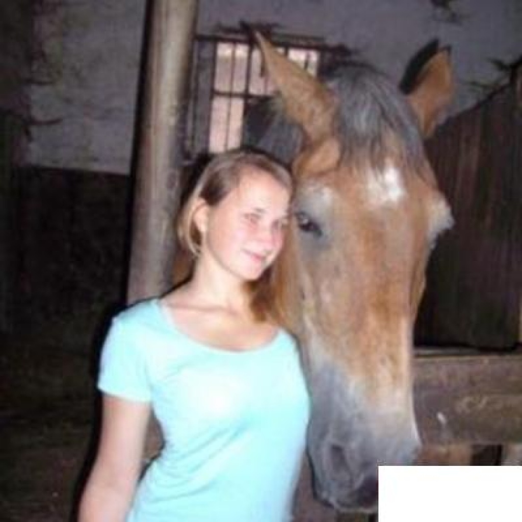 Biete Reitbeteiligung 2x wöchentlich Bergen/Hermannsburg KB & Pony - Pferde - Bergen