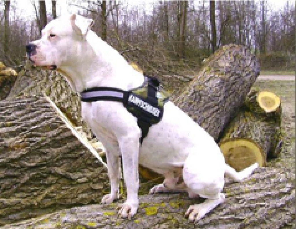 Hundesport-24.Fachausstattung für Freizeit-, Sport- und Diensthunde - Zoohandlungen - Dortmund