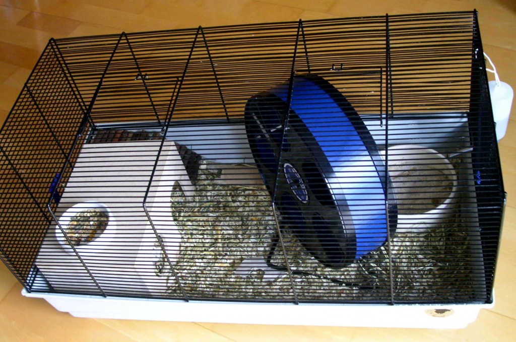 VERKAUF Hamsterkäfig ohne Inhalt - Nagetiere - Althengstett