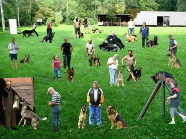 Hundeschule, Hundetraining, - Hunde - Monstab