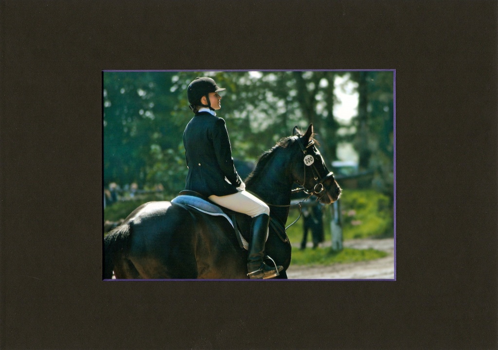 Top Trakehnerhengst - Pferde - Düsseldorf