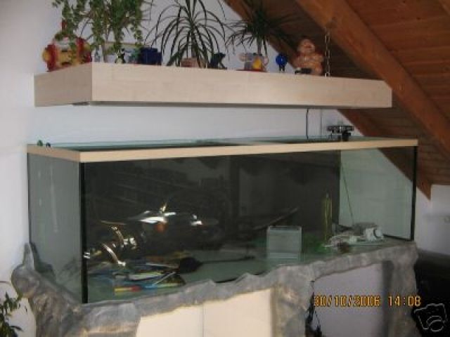 2 METER AQUARIUM - Haustiere - 