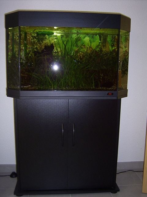 Tolles Panorama-Aquarium von Juwel - Aquarien und Zubehoer - Osterburken