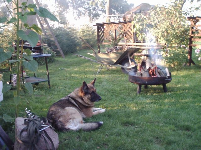 Ferien mit Haustieren - Tiere In Not - Karlsburg