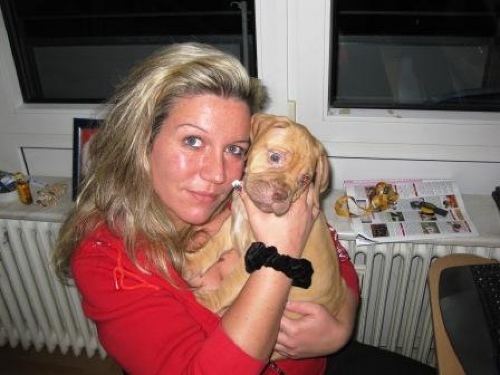 Hundebetreuung - Hunde - Kaltenkirchen