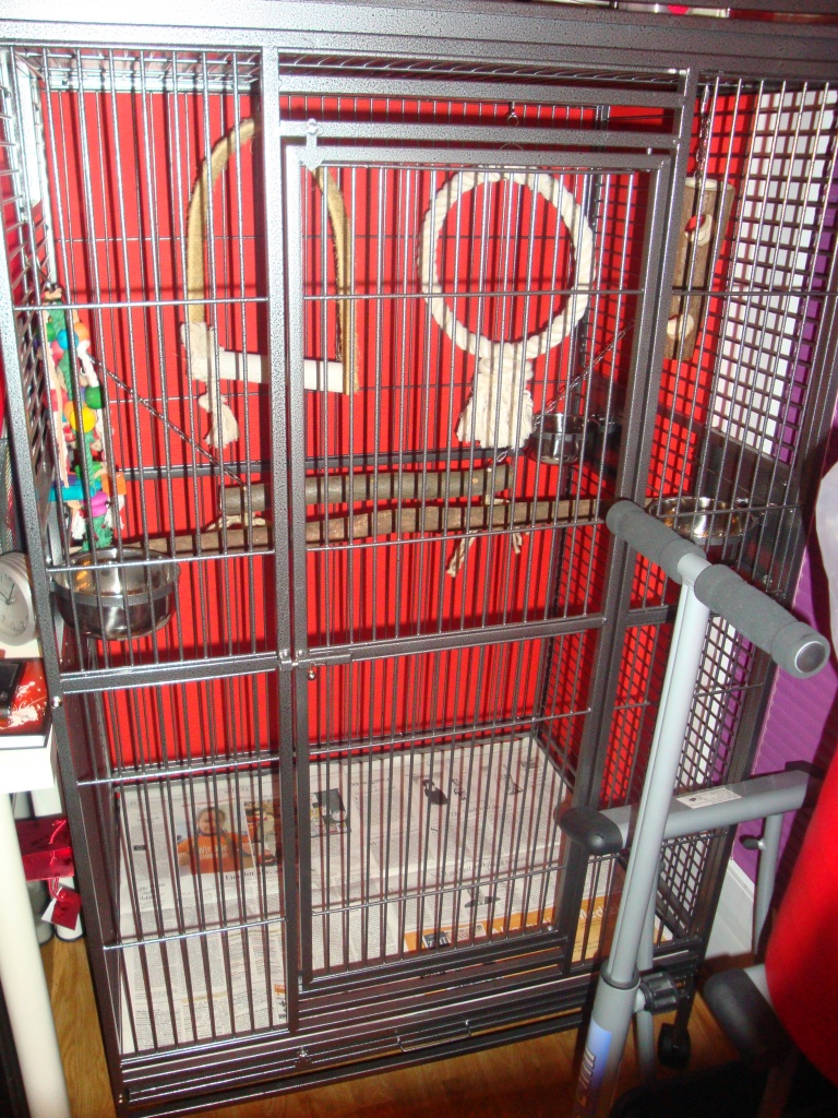 Käfig, Voliere,Papageienkäfig,Vogelkäfig - Voegel - Berlin