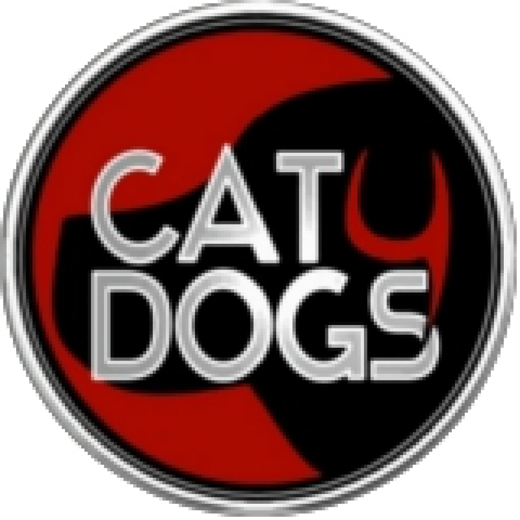 CAT4DOGS Hundeerziehung - mobile Hundeschule - Pflegestellen - Bielefeld