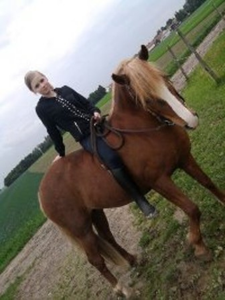 Suche Reitbeteiligung - Pferde - Vaterstetten