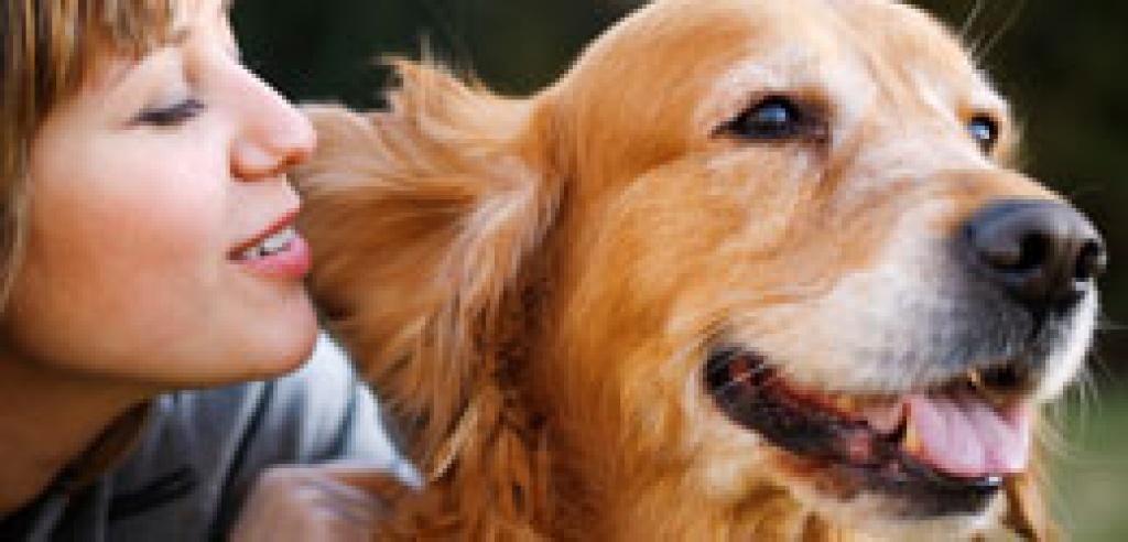 Animal Deluxe Onlineshop für hochwertige Tiernahrung - Tiernahrung - Lüneburg