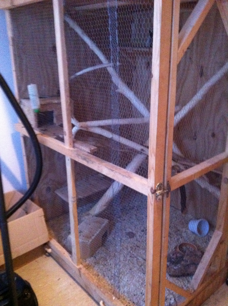 3 Chinchillas incl großem Gehege/Käfig - Nagetiere - Hamburg