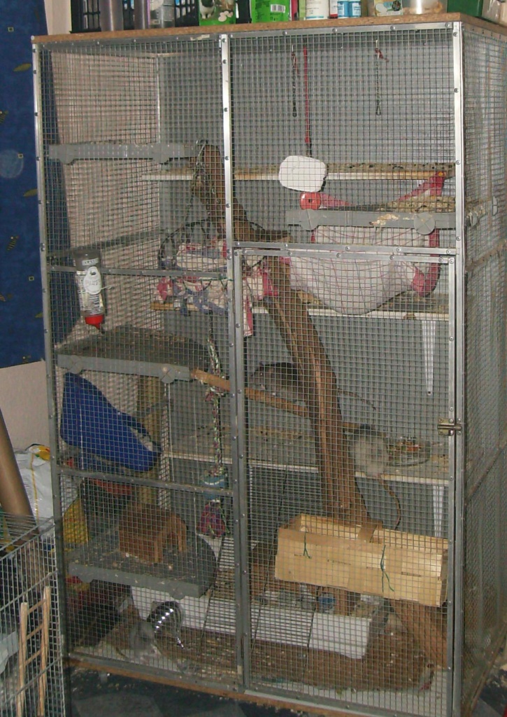 Große Selbstbauvoliere - Nagetiere - Dortmund
