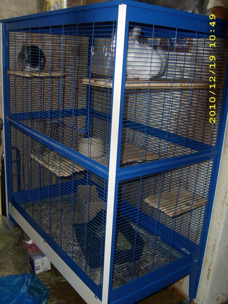 2 Chinchilla männchen mit großem Käfig - Nagetiere - Weinböhla
