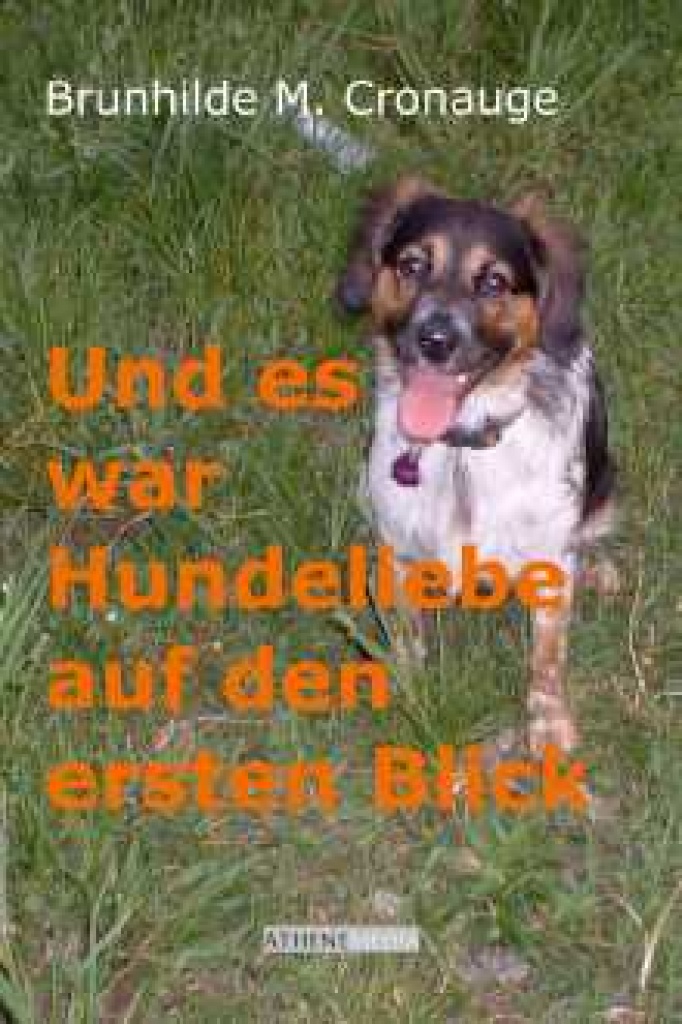 Und es war Hundeliebe auf den ersten Blick - Hunde - Hallenberg