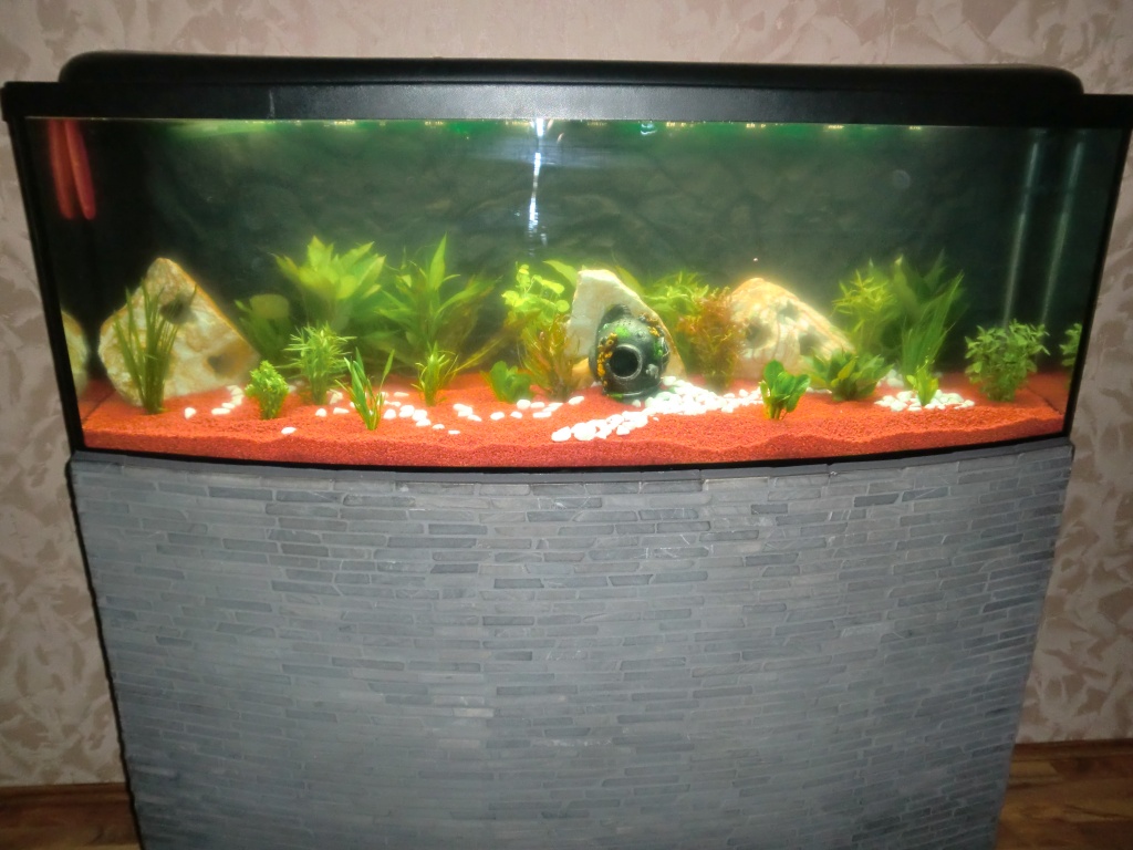 450 l Panorama Aquarium komplett - Fische - Monheim am Rhein