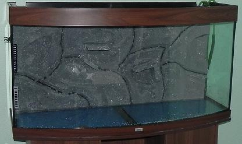 Preiswerte 3D-Rückwände - Fische - Berlin