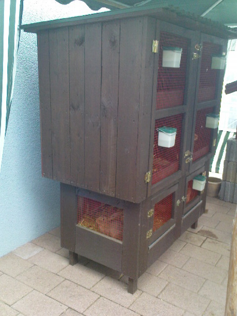 Super stabiler selbst gebauter hasenstall mit 5 boxen 1 jahr alt - Nutztiere - Assamstadt