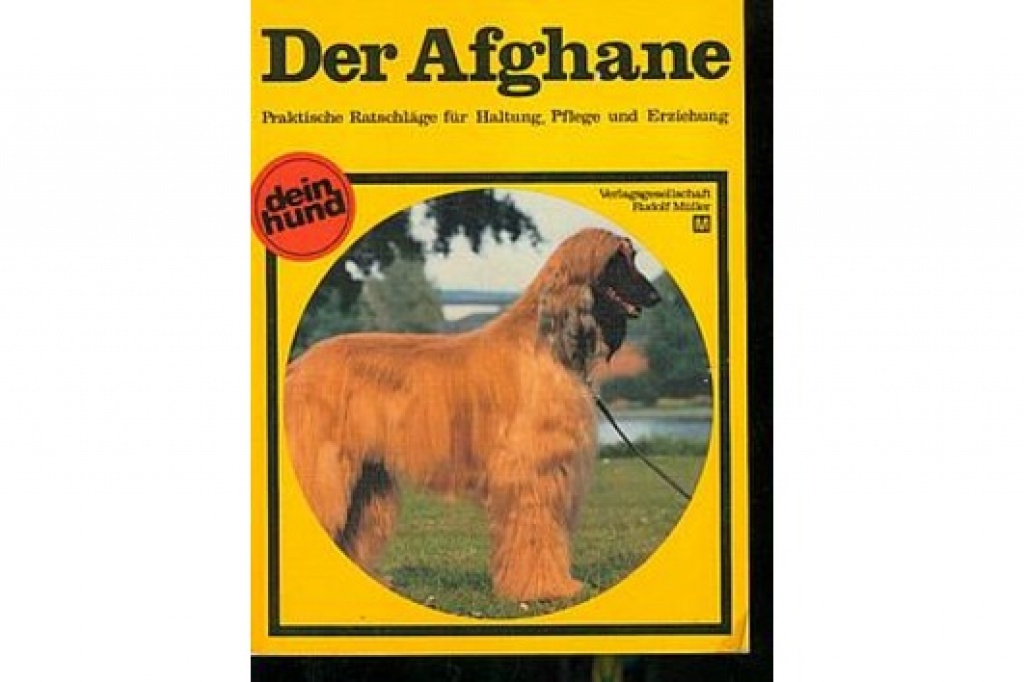 Der Afghane ( Buch ) - Tierbuecher - Frankfurt