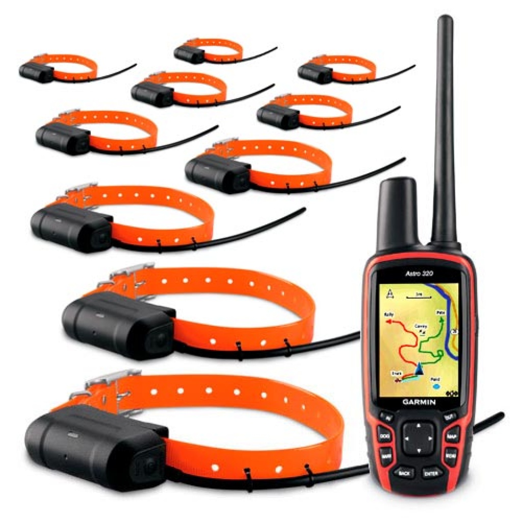 Garmin Astro 320 Hund GPS Tracking Collar - Amphibien - Southwark
