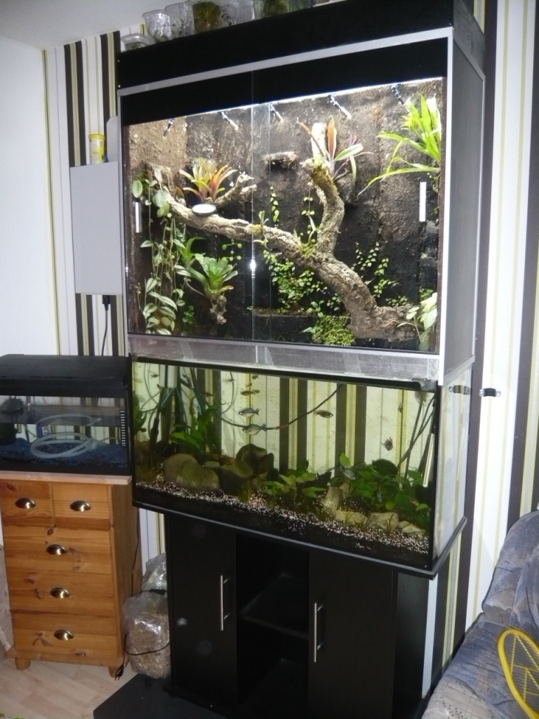 Verkaufe Aquaterrarium ( Paludarium ) - Reptilien - Rosdorf