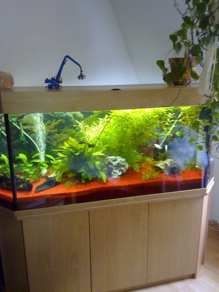 Kompl. Aquarium abzugeben - Fische - Bochum