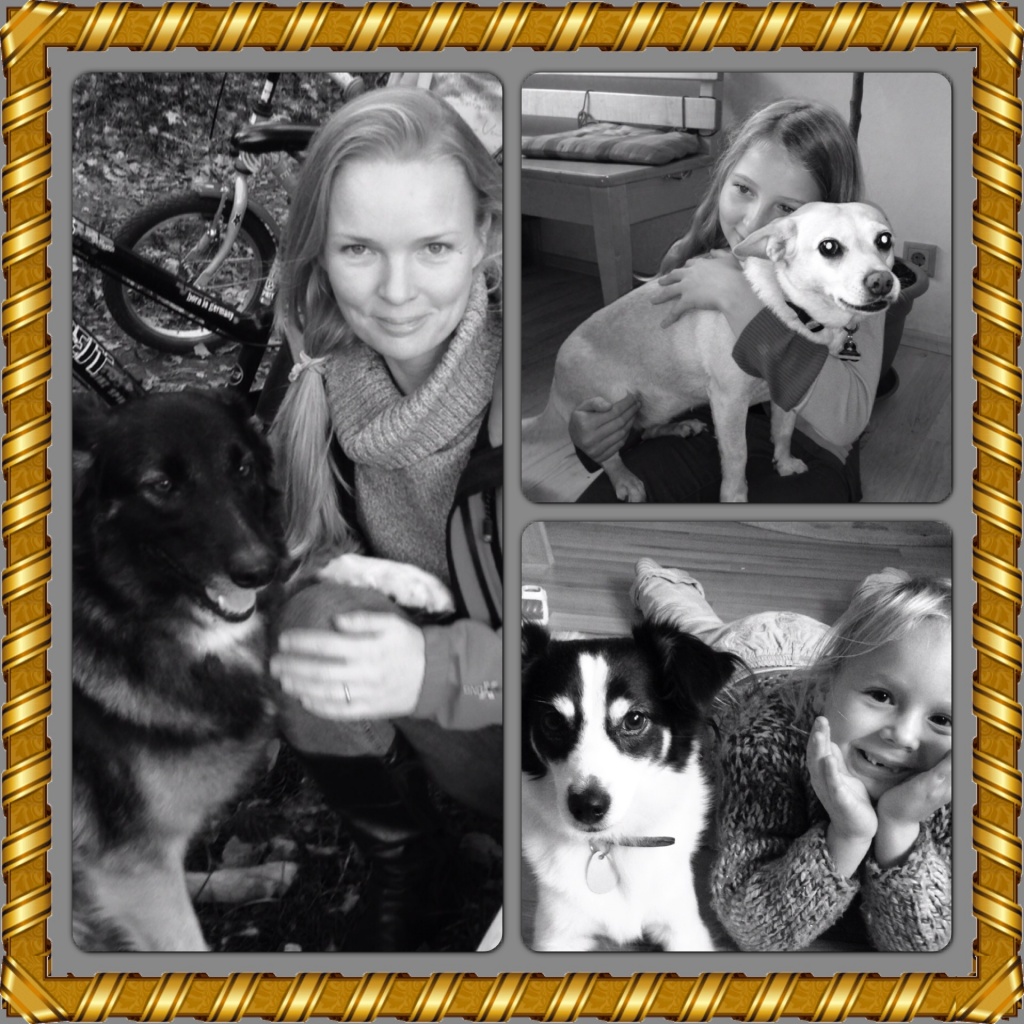 Hundebetreuung mit viel Erfahrung & Liebe.Hundesitting, Hundesitter - Hunde - Burgdorf