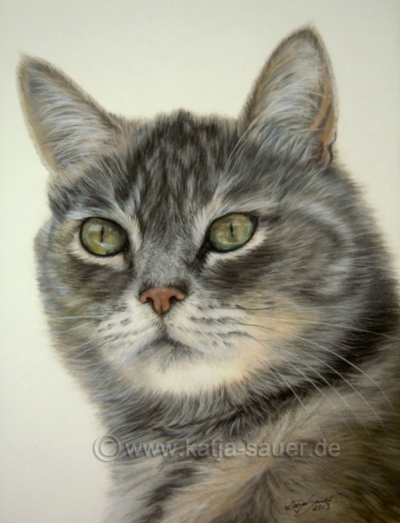 Lebensnahe Tierzeichnungen und Tierportraits von Katja Sauer - Dienstleistungen - Lichtenau