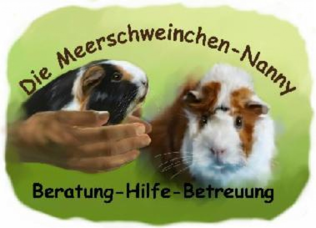 Die Meerschweinchen-Nanny, Meerschweinchen-Hilfe, Notstation, Urlaubspflege, Zub - Nagetiere - Kirchberg an der Murr