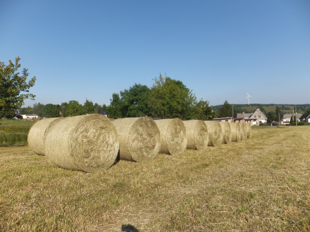 Heu Heurundballen Futter Pferd Kaninchen Schaf Ziege Esel Rind - Tiernahrung - Deutschneudorf