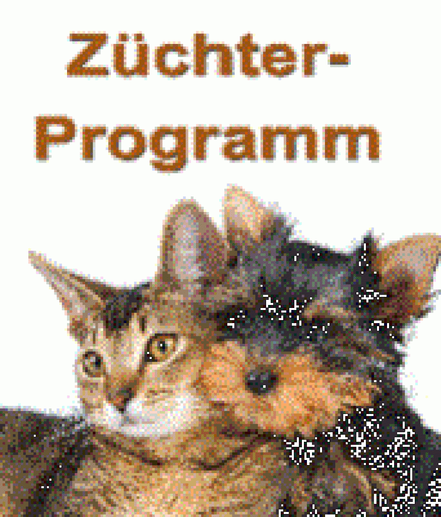 Hunde & Katzen Züchter als Kooperationspartner gesucht - Tiernahrung - Buchholz in der Nordheide