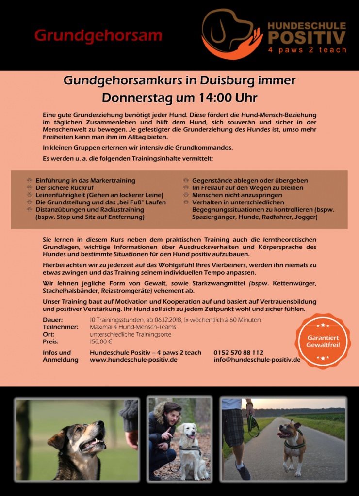 Grundgehorsamkurs in Duisburg immer Donnerstag 14:00 Uhr Hundetraining gewaltfre - Hunde - Duisburg