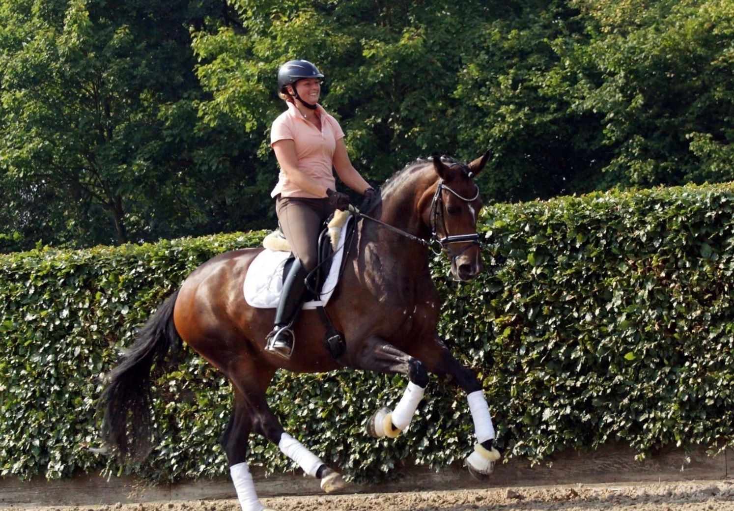 Süsses Mädchen Pferd direkt vom Züchter zu verkaufen !!! - Pferde - bad abbach