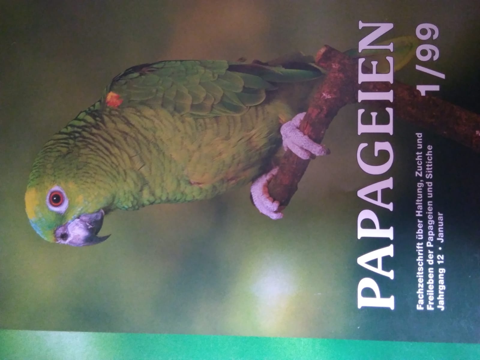 Papageien Fachzeitschrift - Voegel - Zella Mehlis