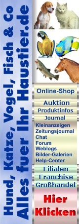 Alles für Ihr Haustier, Angel- und Reitsport - Sonstiges - Südlohn