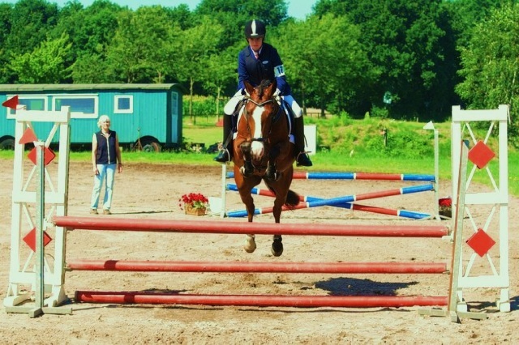 Biete Reitbeteiligung auf Sportpony in stade/21682 - Pferde - Stade