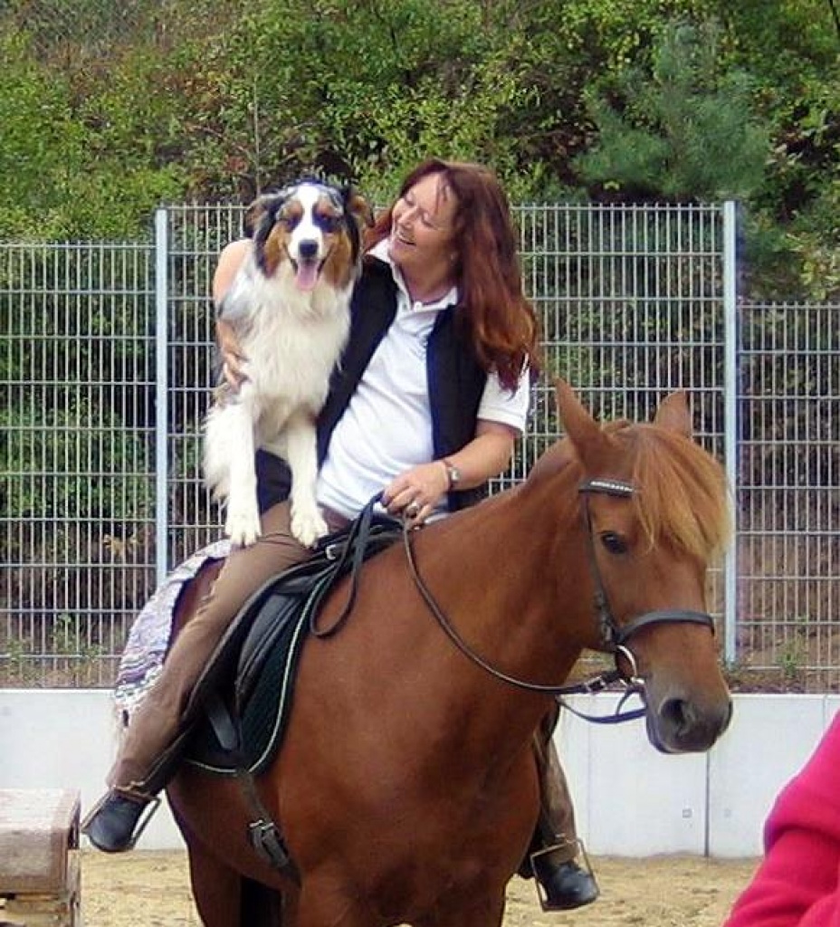 Individueller Reitunterricht im Westerwald oder mobil - Reitunterricht - Obererbach Westerwald