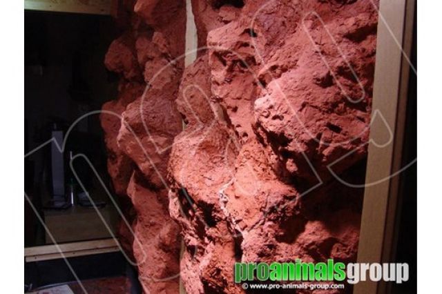 PROROCK - EXKLUSIVE TERRARIENGESTALTUNG - Terrarien - Baden-Württemberg