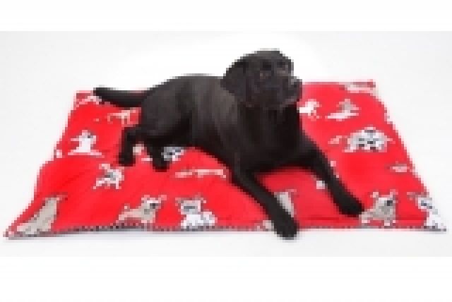 Kuscheldecke Gross Traumhund - Microfaser - Khaki - Zubehoer Haustiere - München