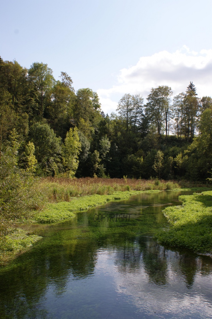 Kalenderfotos 12Stück Biosphärengebiet Schwäbische Alb Flora,Fauna,Landschaft - Dienstleistungen - Nürtingen