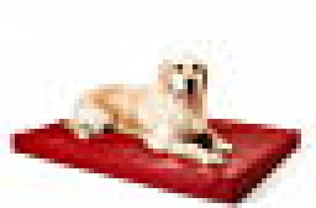 Antiallergische Hundebetten, Hundematten - Zubehoer Haustiere - Lünen
