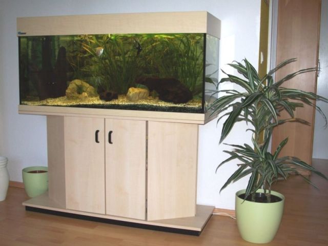 Großes Aquarium günstig zu verkaufen !!!