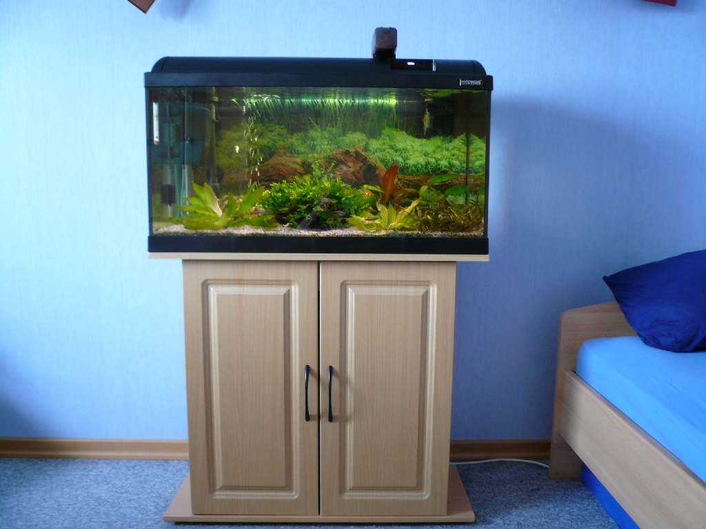 Verkaufe Aquarium 112l - Fische - Hückeswagen