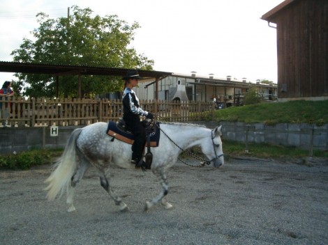 WESTERNREITUNTERICHT IN WEIBLINGEN FÜR JUNIOR UND SENIOR - Pferde - Stuttgart