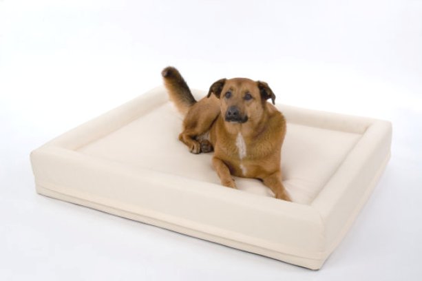 Neue Hundewasserbetten - Hunde - Lünen